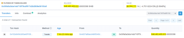 Абсалютна новы кіт Shiba Inu Whale назапасіў SHIB на 6 мільёнаў долараў