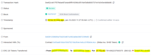 Mysterious Wallet Burned 10.10 Million SHIB