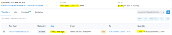 Mysterious Wallet Burned 7.37 Million SHIB