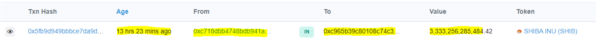 Nascent Wallet verzamelde 3.33 biljoen SHIB in een enkele transactie