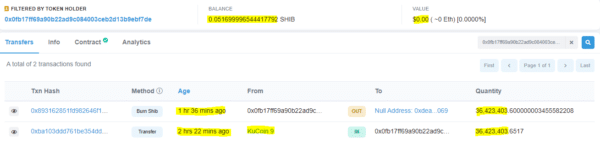 Nasunog ang Single Wallet ng 36.42 Million SHIB