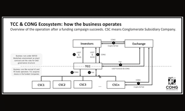 The project is so disruptive and innovative that flow charts were done to provide a better understanding to the investors