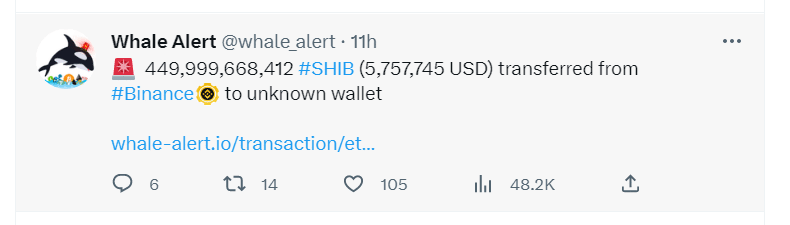 Binance Shib շարժում 4