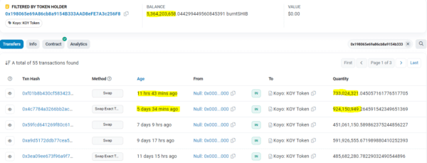 Koyo Burned 733,024,321 Million SHIB in a Single Transaction