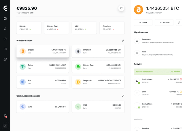 The interface of CoinsPaid wallet