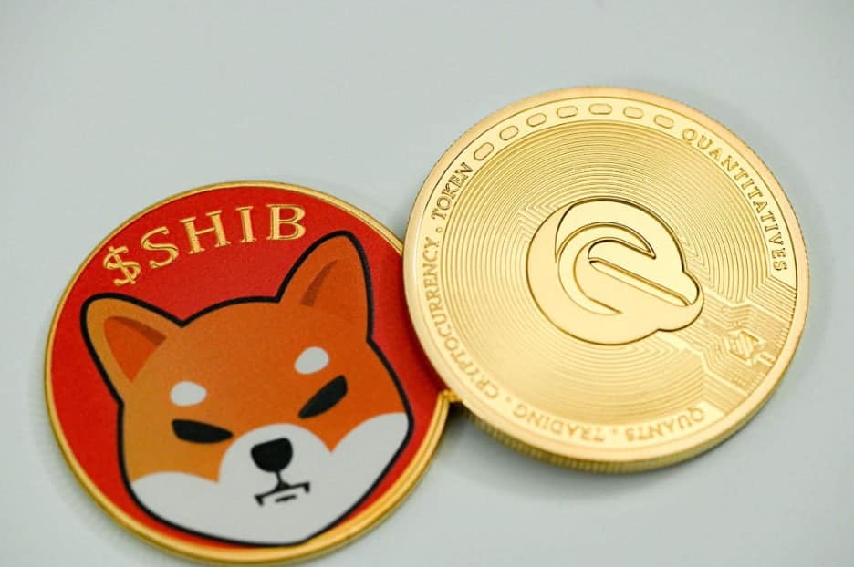 the rise of shiba inu coin The Rise of Shiba Inu Coin What You Need to Know