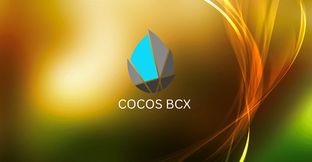 COSOC BCX