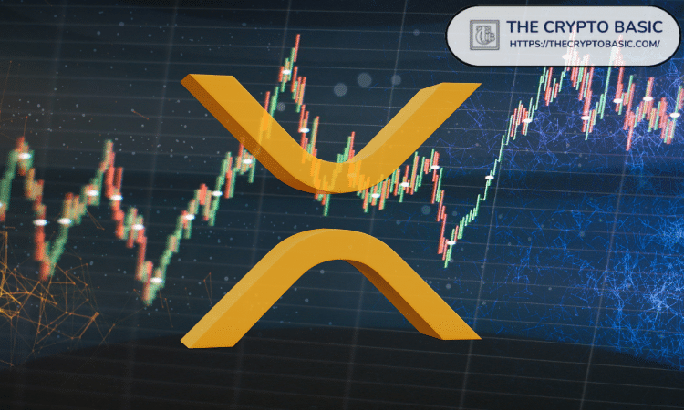 Analyst Sees XRP Soaring Against Altcoin Market as Pullback on 200W MA Completes