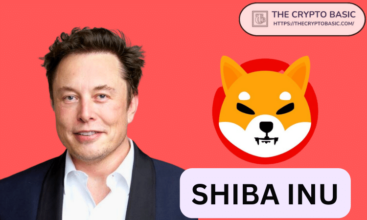 Elon Musk and Shiba Inu