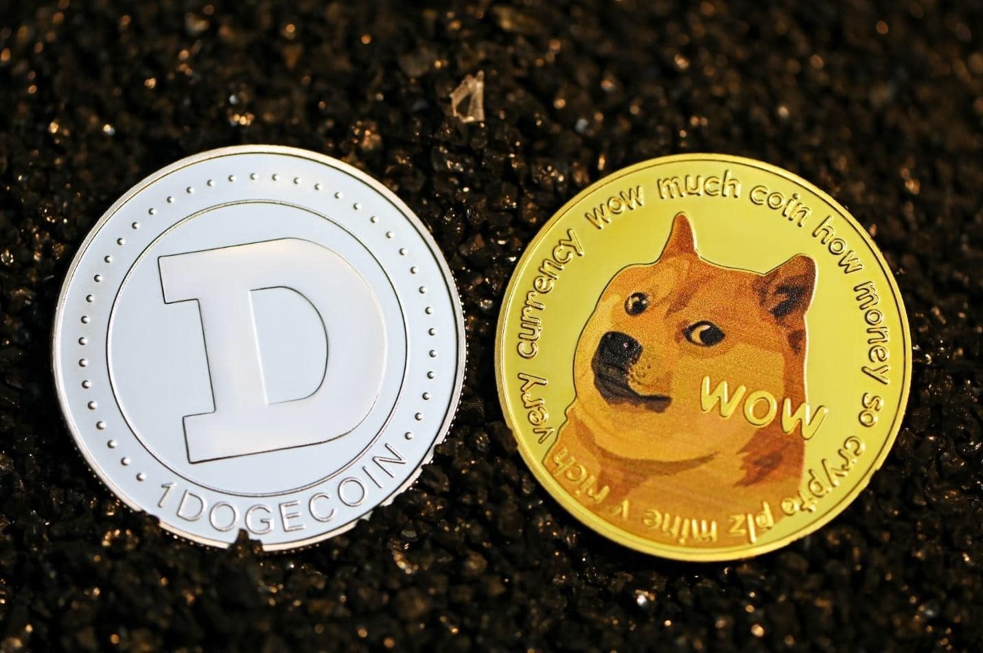 Shiba Inu Token vs Dogecoin A Comparative Analysis of the Dog Inspired Cryptocurrencies
