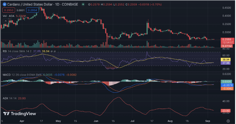 Cardano 1D Coinbase