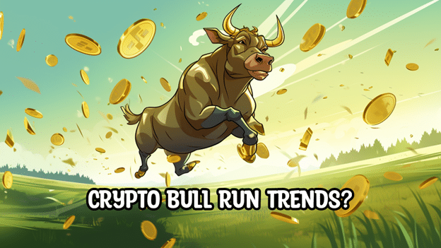 APEMAX BULL RUN