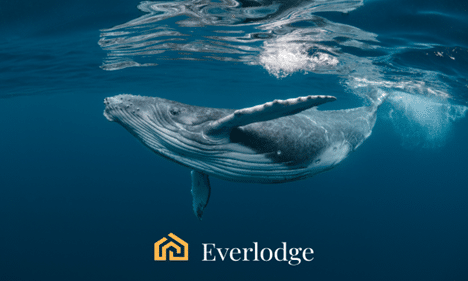 Crypto Whales EVERLODGE