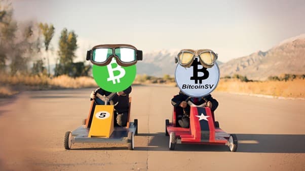 BSV VS BCH
