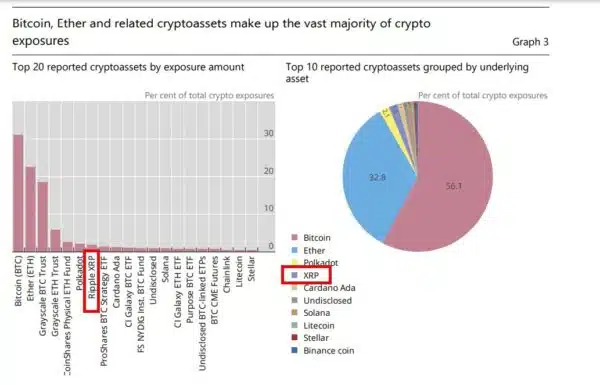 Crypto asset exposure