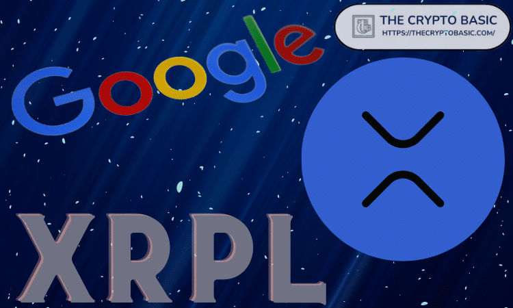 ripple-cto-compares-xrpl-to-google-says-xrp-should-be-winner-for-cross-currency-payments