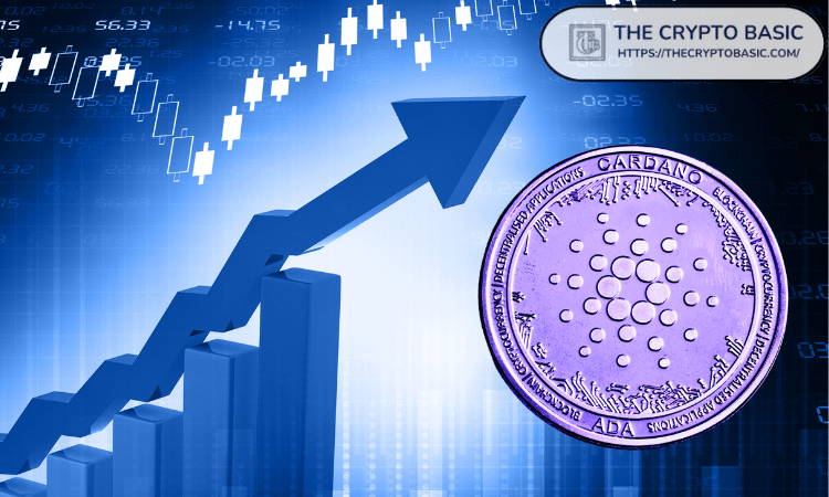 Report Shows Cardano Price Outperforms Market with 127% YoY Gain, TVL Explodes 645%