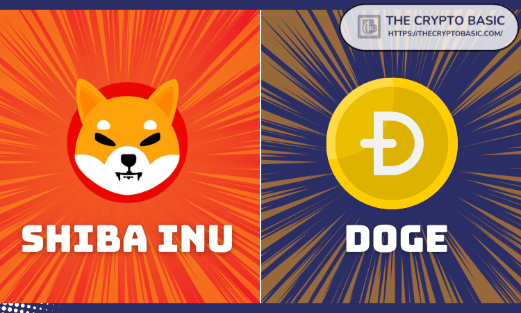 Shiba Inu and DOGE
