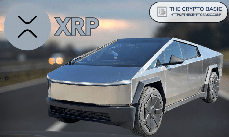 XRP or Tesla