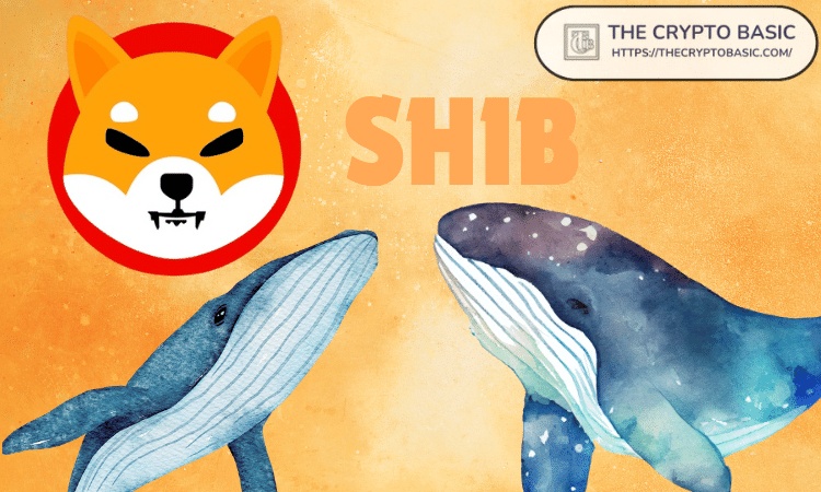 Shiba Inu Whales SHIB New1111111011101