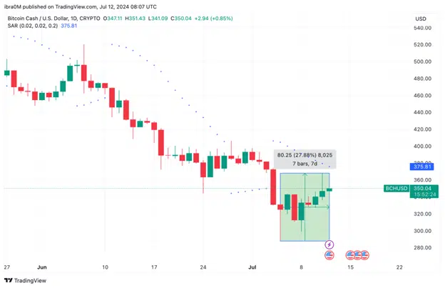 Bitcoin Cash Price Action BCH USD TradingView 12 july 2024