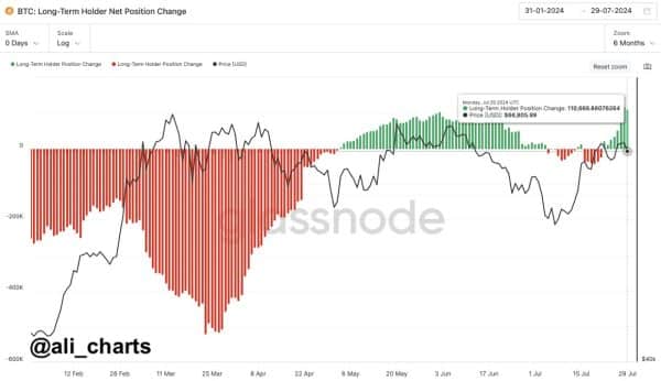 Lengthy-Time period Traders Accumulate .4B in Bitcoin as Weak Palms Dump