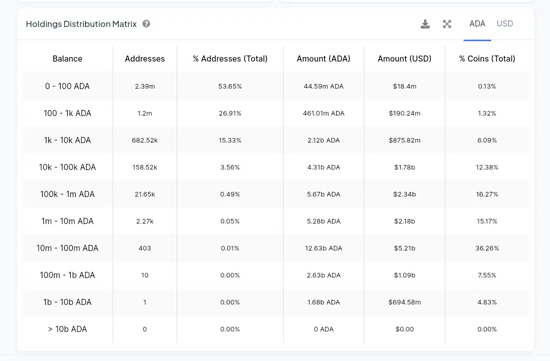 Cardano Holders Distribution IntoTheBlock