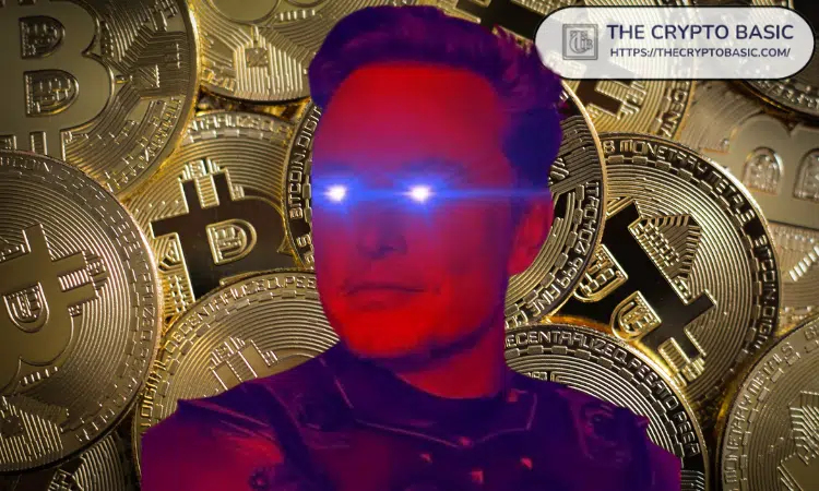 Elon Musk and Bitcoin