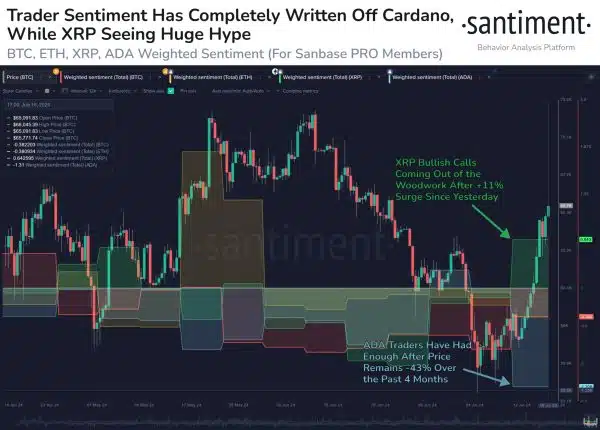 Trader Sentiment