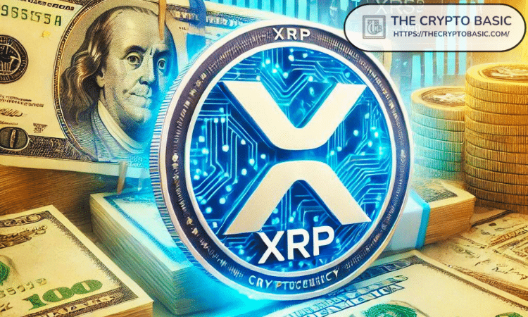 Expert reveals that investors can get on the XRP rich list by owning just 3,011 XRP