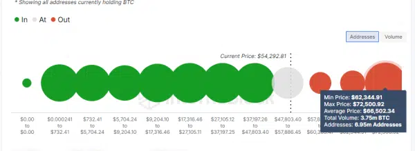 Bitcoin holders