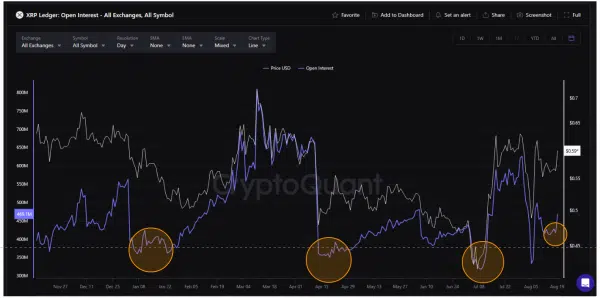 XRP ledger Open Interest 