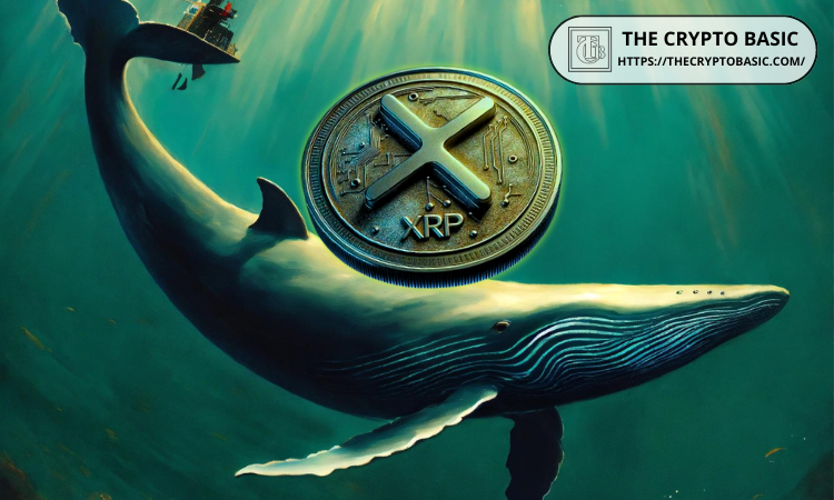 XRP Whale