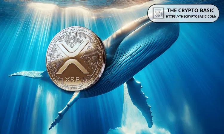 XRP Whale