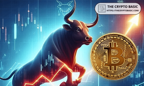 What Is a Crypto Bull Run? Meaning, Signs & Market Impact