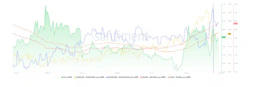 XRP 2 Santiment 15 8 24