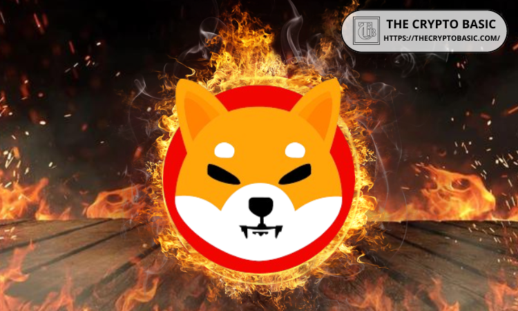 Shiba Inu Burn