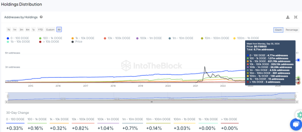 Doge Addresses by Holding IntoTheBlock