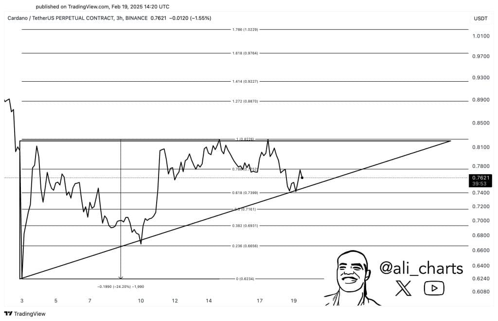 Cardano Price Set for 24% Move According to This Analyst: What You Need ...