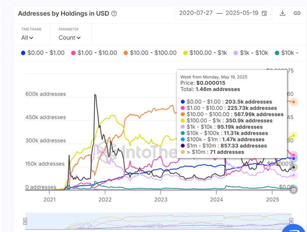 Shiba Inu Address Holdings in USD
