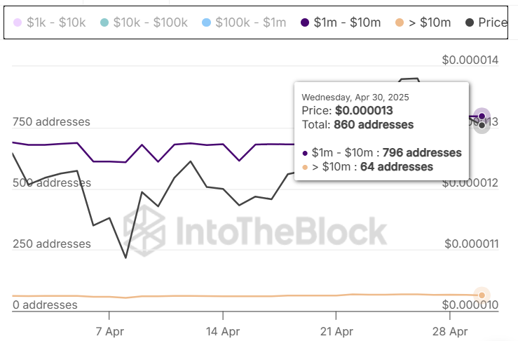 Shiba Inu Millionaire Addresses IntoTheBlock