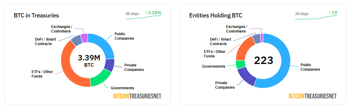 Entities Holding Bitcoin Bitcoin Treasuries