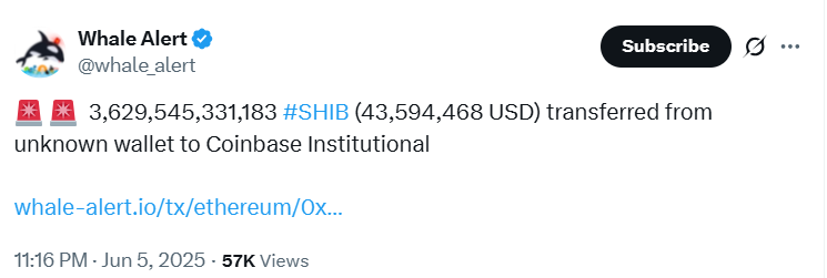 Large Shiba Inu Transaction Whale Alert