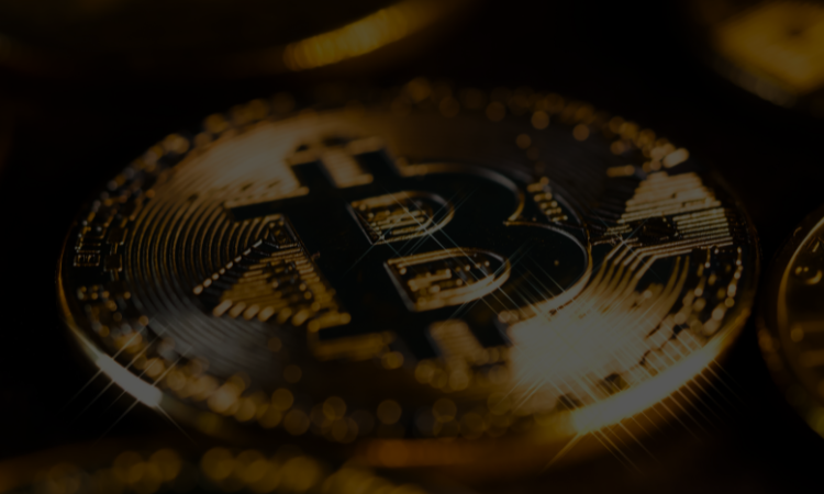 Memecoin a Gateway to Crypto Investment
