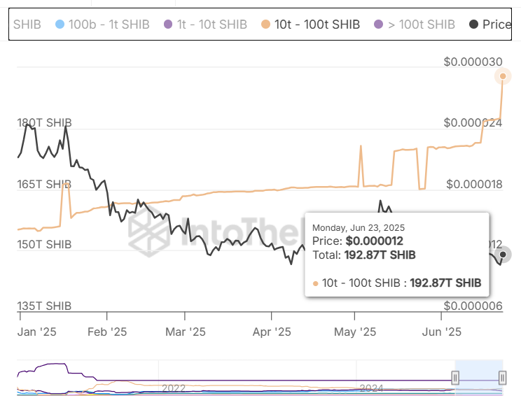 Shiba Inu Whales Accumulating IntoTheBlock