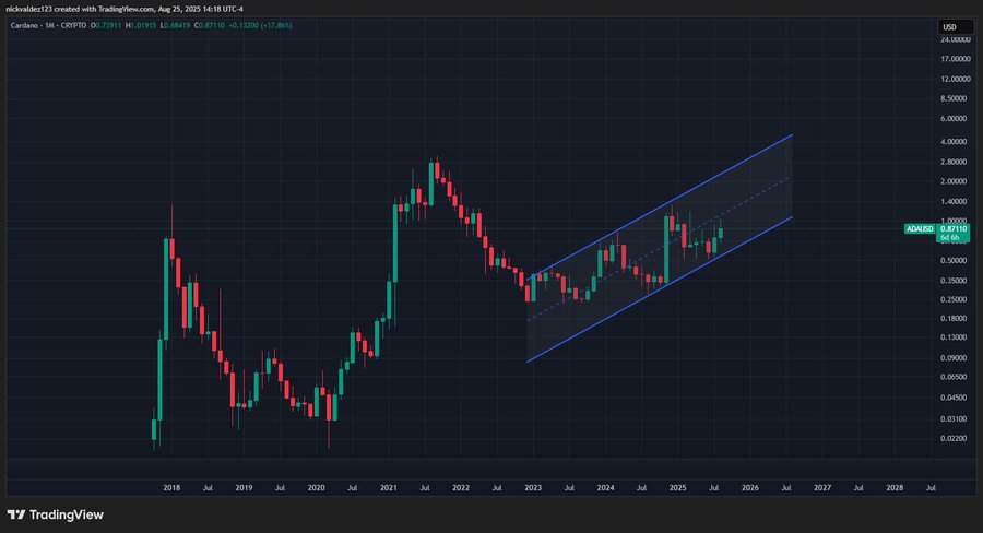 Deezy predicts Cardano to 