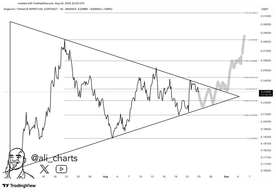 Dogecoins analysis