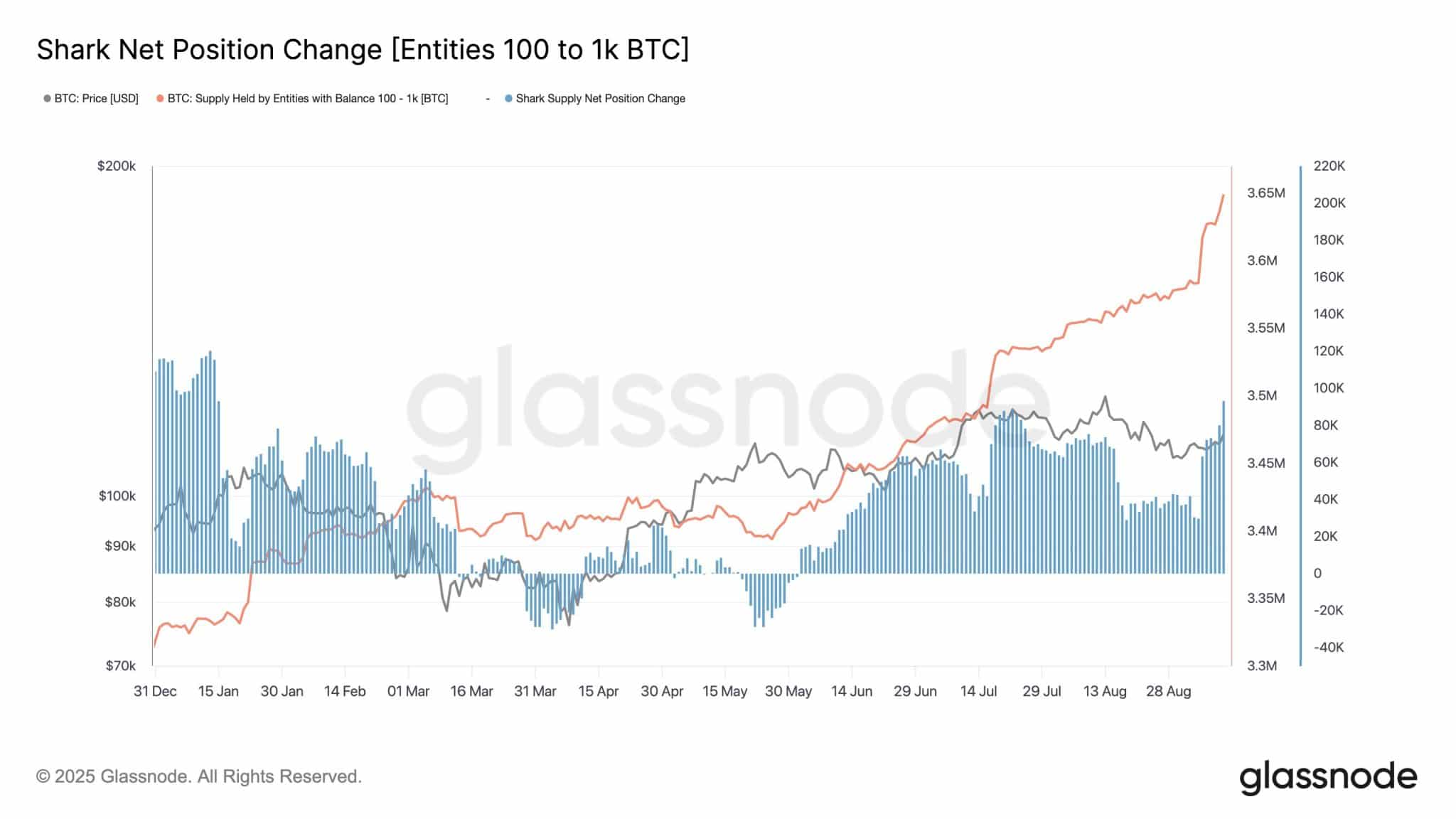 Bitcoin shark holdings
