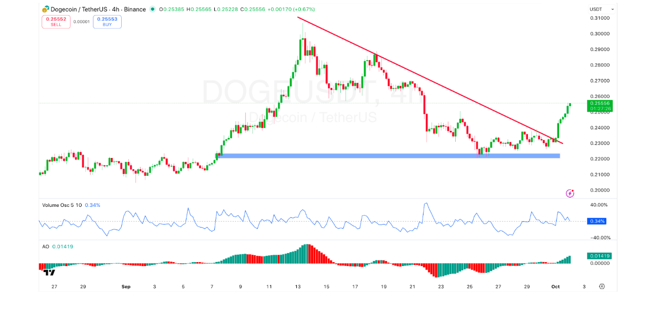 Dogecoin NEw1v1v1v1111111