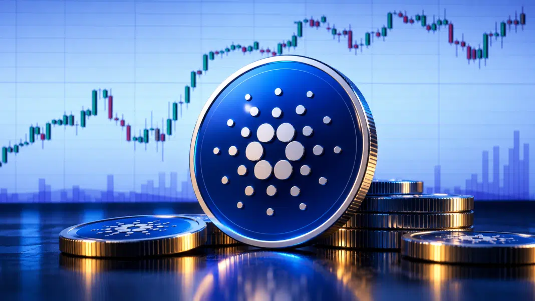 Cardano New 2